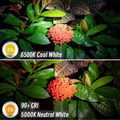 RovyVon-Aurora-A8-G4-USB-C-Nichia-UV-ROT-Weiss-aufladbare-Schluesselbundlampe-mit-Seitenlicht-A8-G4-NI-4443_1.jpeg