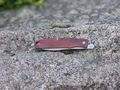 Midgards--der-Kuechenschibbler-Schnibbler-4967_7.jpeg