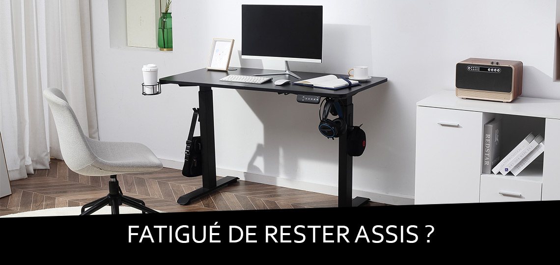 Bureau Assis Debout