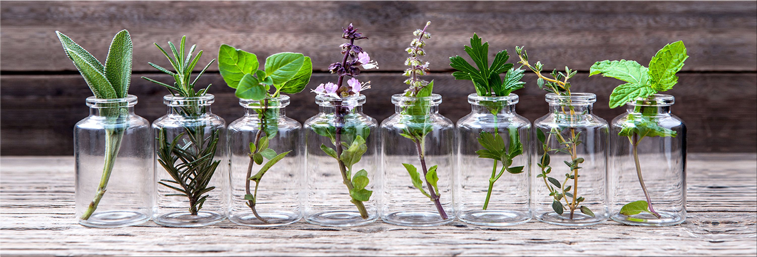 artissimo Dekopanel Deco Panel 90x30cm Poster Bild Wandbild Küchenbild