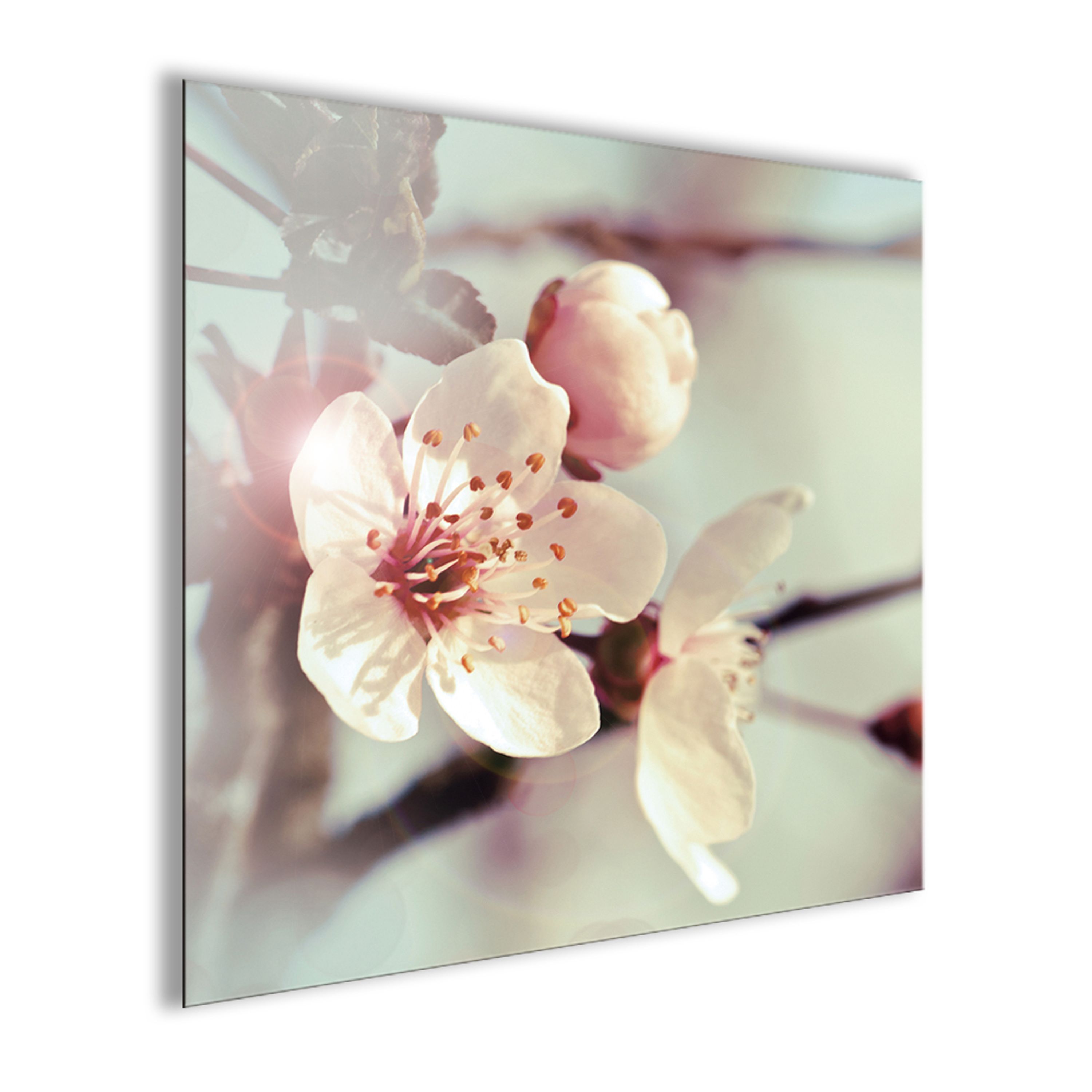 Ehrfürchtig Blumen Poster Wohnzimmer Blumen Poster Wohnzimmer Test