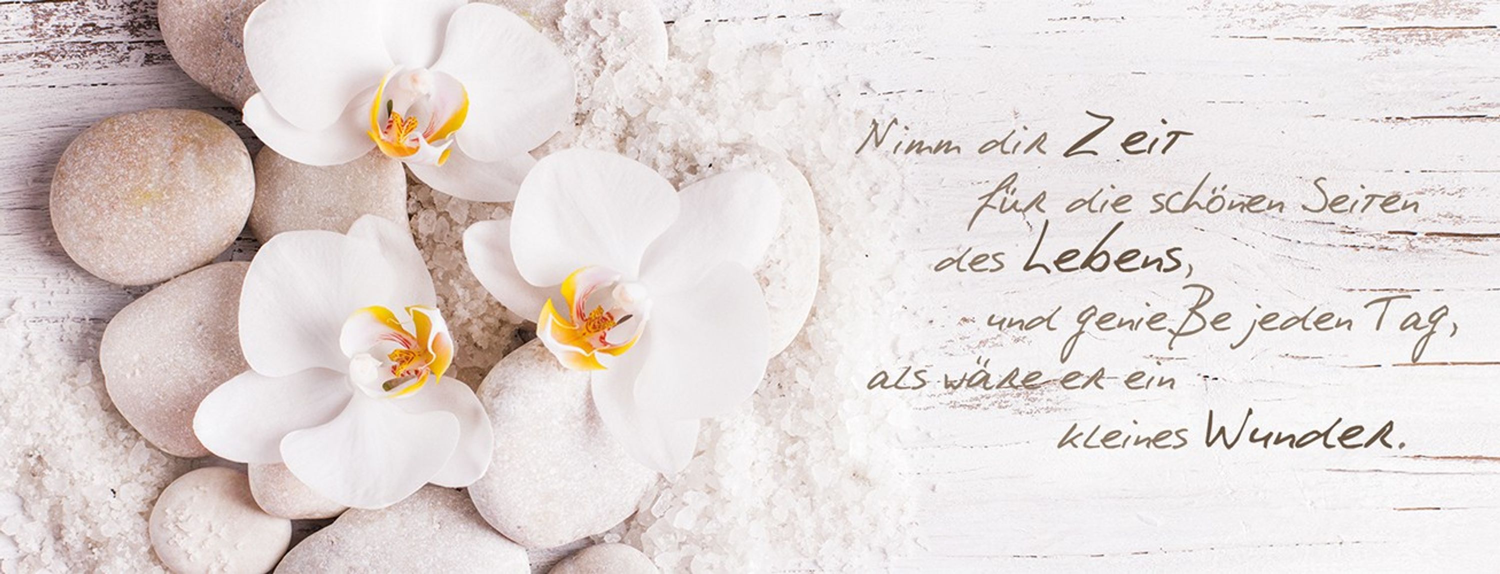 47++ Spruch nimm dir zeit , artissimo, Glasbild, 80x30cm, AG1903A, Nimm dir Zeit.., Orchidee, Bild aus Glas mit Spruch