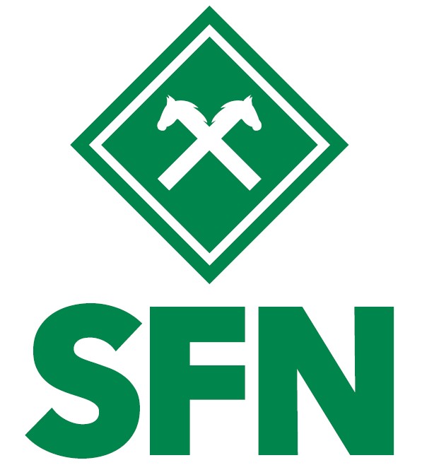 SFN Vechta