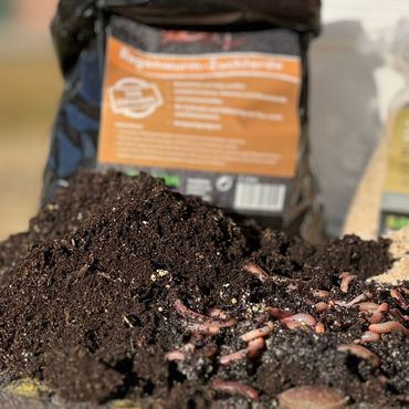 Spezial-Wurmerde, Zuchterde (6 Liter)