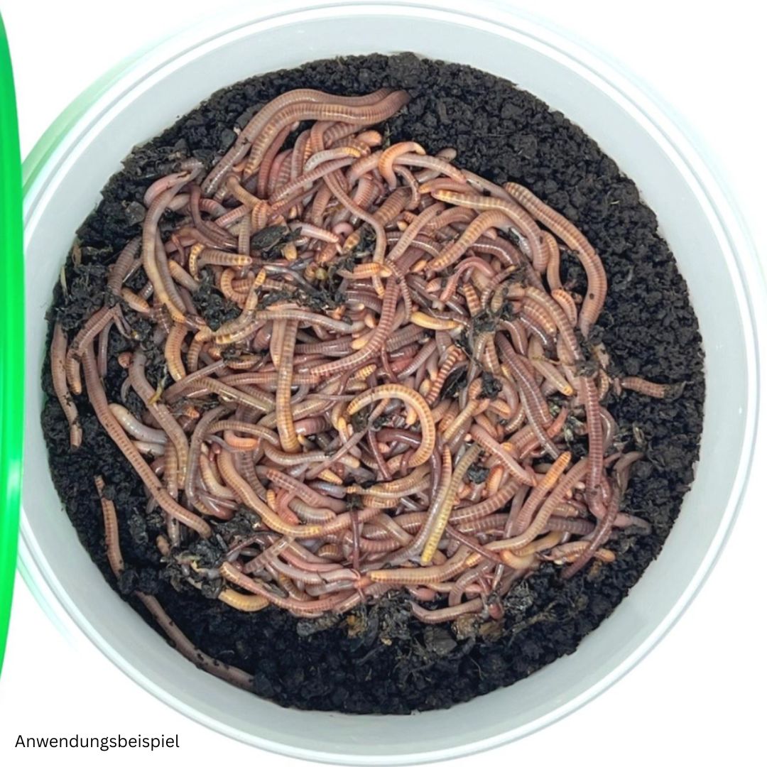 Anwendungsbeispiel-Wurmerde.jpg