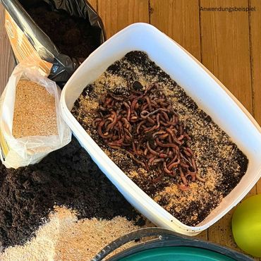 Einsteiger Wurmzucht - Starter-Set mit 0,5 kg Wurmmix (ca. 315 St.) Riesen-Rotwürmer - Dendrobena