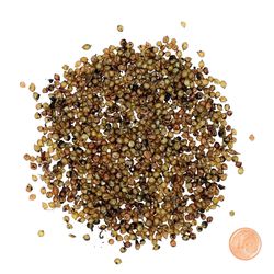 1000-Kokons-Groessenverleich_1.jpg 1000-Kokons-Groessenverleich_1.jpg