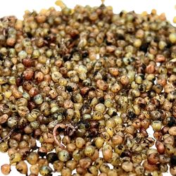 1000-Kokons-Nahaufnahme_1.jpg 1000-Kokons-Nahaufnahme_1.jpg