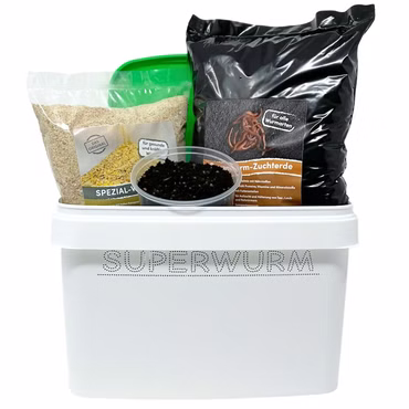 Regenwurm Kokons Zuchtset mit 1000 Regenwurm Kokons (Dendrobena)