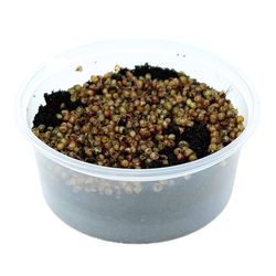 1000-Kokons-Dose-seitlich_1.jpg 1000-Kokons-Dose-seitlich_1.jpg