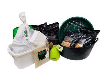 XXL Wurmzucht - mit 0,5 kg mittleren (ca. 400 St.) Riesen-Rotwürmer - Dendrobena, incl. Zuchtbehälter (mit Zuchtbox)