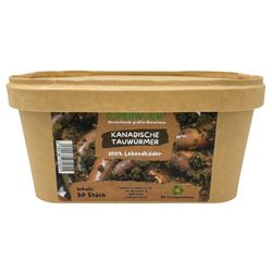 50-Tau-zu.jpg 50-Tau-zu.jpg