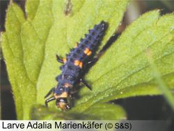 H6CNeIvMx35EUhUKaeO9RVgM4XXuuMMRvQ6yqx5R.jpeg H6CNeIvMx35EUhUKaeO9RVgM4XXuuMMRvQ6yqx5R.jpeg