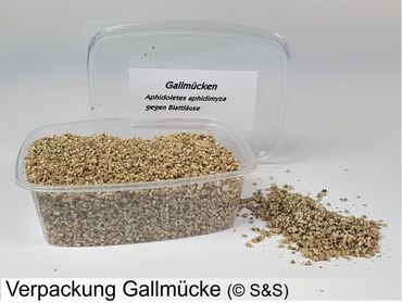 Gallmücken 400 Stück (separater Versand)