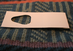 schlupfwespe.png schlupfwespe.png