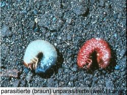 c7N6lxp0jr6KKmK6cTyGExu0XMIwKhdqjMWPyIL7.jpeg c7N6lxp0jr6KKmK6cTyGExu0XMIwKhdqjMWPyIL7.jpeg