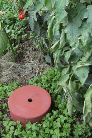 Kompoströhre "TUBE" aus atmungsaktivem Ton