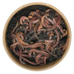 130g-Mix-oben.jpg 130g-Mix-oben.jpg