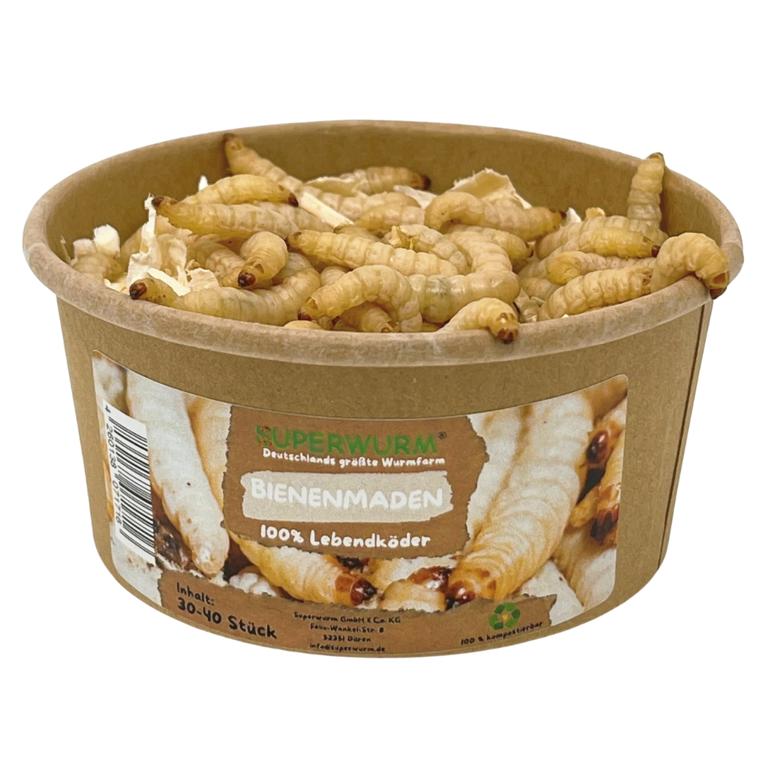 30-40-Bienenmaden-Front.jpg