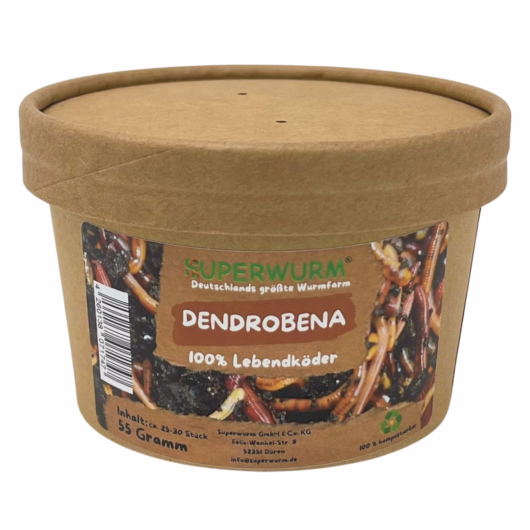 55g-Dendrobena-zu.jpg