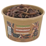 55g-Dendrobena-Front.jpg
