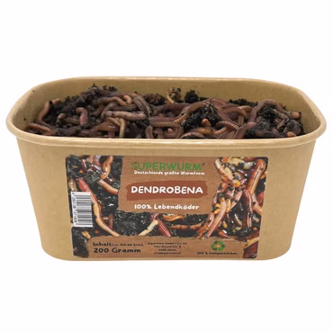 200g Dendrobena Größe M-XL | 100% kompostierbare Köderdose