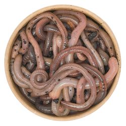 24-Tau-oben.jpg 24-Tau-oben.jpg