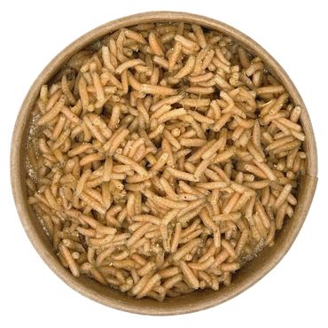 50ml Pinkies | 100% kompostierbare Köderdose