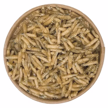 50ml Maden | 100% kompostierbare Köderdose