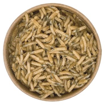 100ml Maden | 100% kompostierbare Köderdose