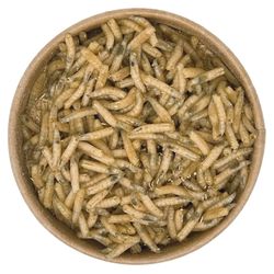 100ml-Maden-oben.jpg 100ml-Maden-oben.jpg