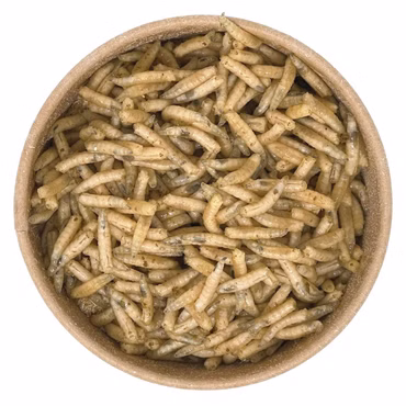 250ml Maden | 100% kompostierbare Köderdose