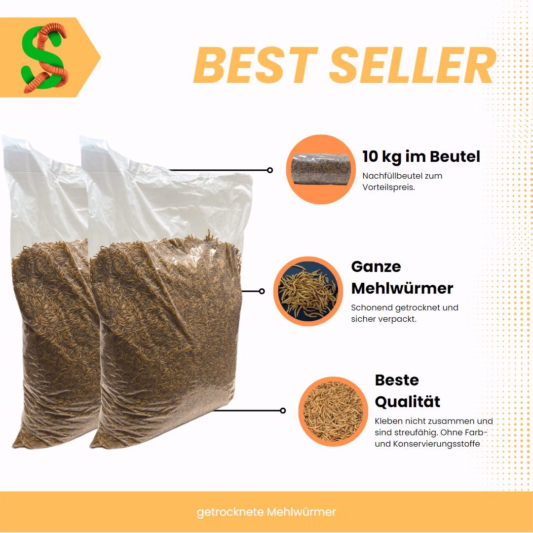 10-kg-Getrocknete-Mehlwuermer-Beschreibung.jpg