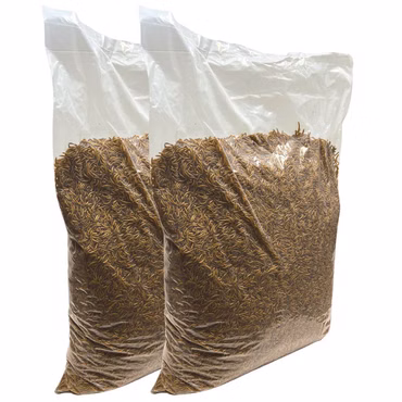 10 Kg getrocknete Mehlwürmer - Insekten getrocknet - Futter Snack für Hühner, Küken, Hamster, Fische, Wildvögel, Igel, Wachtel - Ideales Igelfutter, Vogelfutter