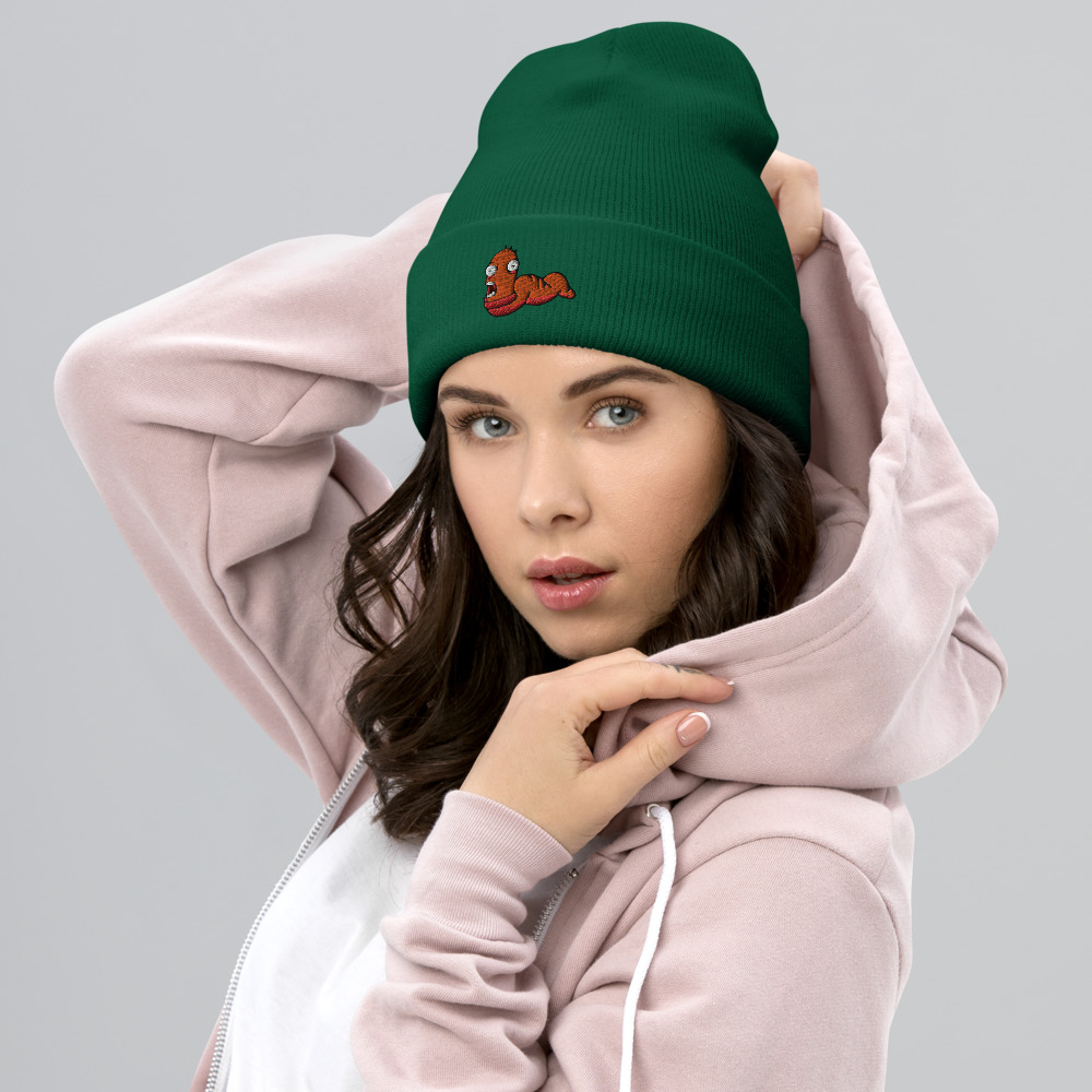 cuffed-beanie-spruce-front-63e51d79e0815.jpg