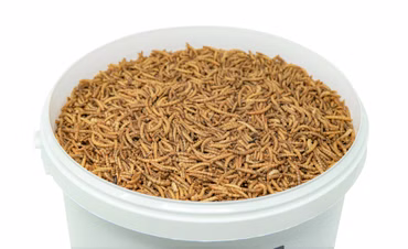 Mr. Mehlwurm - 10 Liter getrocknete Mehlwürmer - Insekten getrocknet - Futter Snack für Hühner, Küken, Hamster, Fische, Wildvögel, Igel, Wachtel - Ideales Igelfutter, Vogelfutter