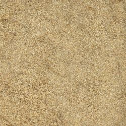 Saegemehl-Nahaufnahme.jpg Saegemehl-Nahaufnahme.jpg