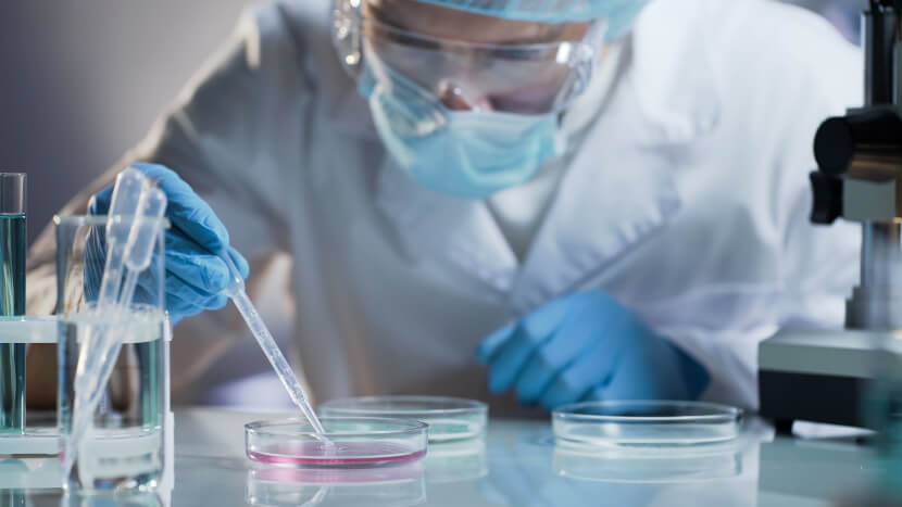 Laborschalen in der Analytik Petrischalen werden als Laborschalen bei der Behandlung von Proben verwendet