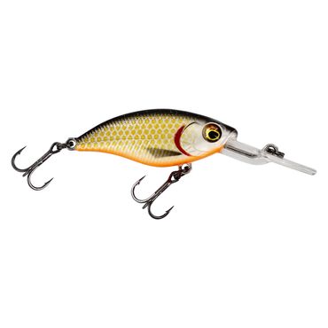 Westin Buzzbite Crankbait 4cm 4g Low Floating Official Roach Wobbler