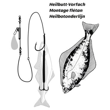 Rhino Heilbutt-Vorfach Norwegen Rig