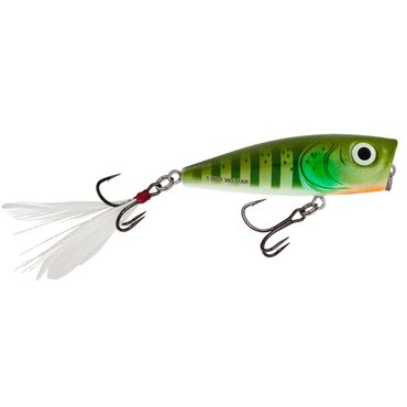 Salmo Rattlin Pop 7cm Floating Popper