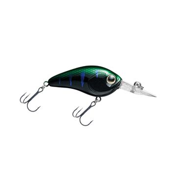 Daiwa Steez Crank 100F-SR 54mm Crankbait bleifrei