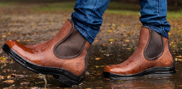 Ariat Stiefeletten • Top Design • Super Auswahl