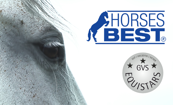 HorsesBest