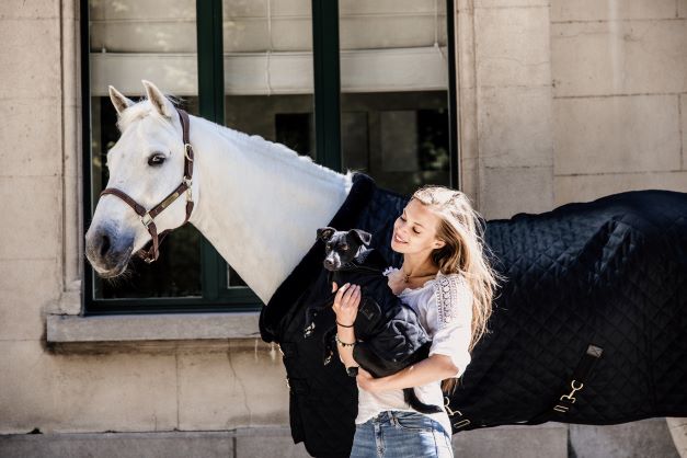 Kentucky Horsewear & Dogwear Kollektion