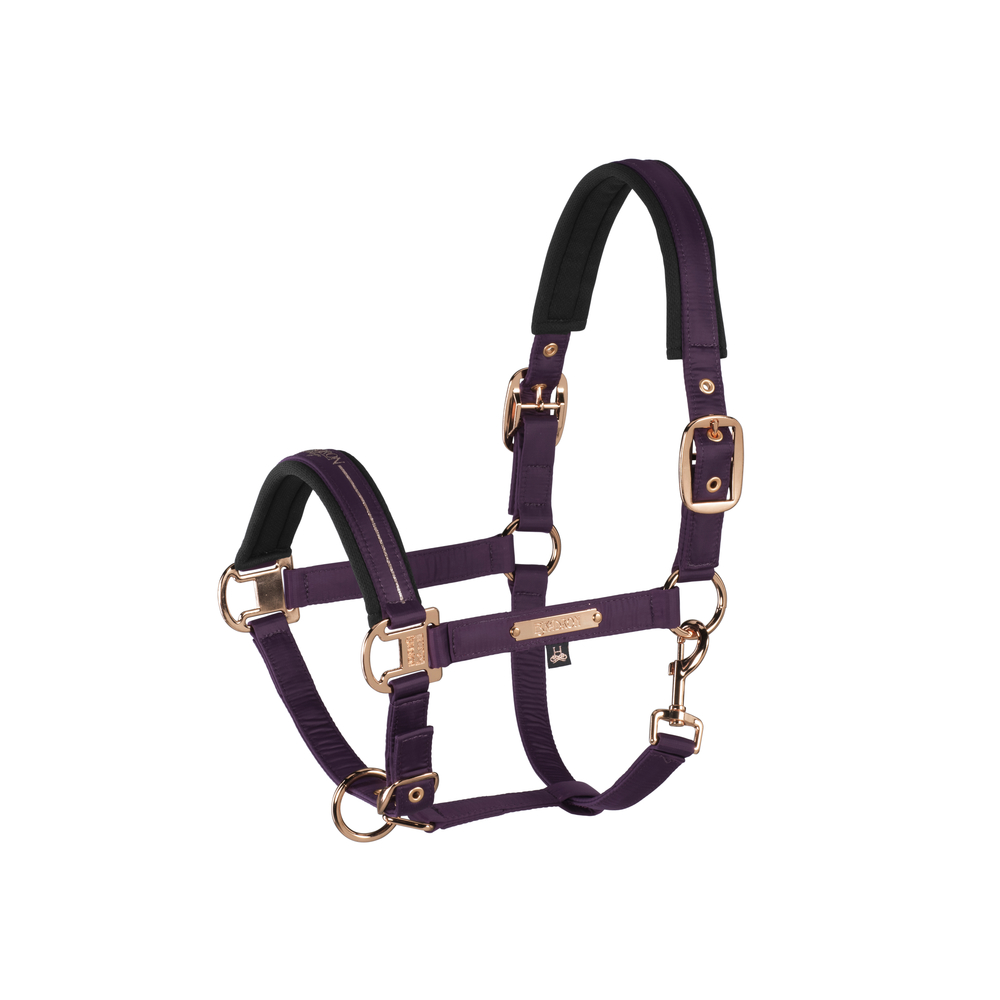 Eskadron Heritage Hw20 Glossy Doublepin Halfter Deepberry Vb Horse Shop Landenhausen 