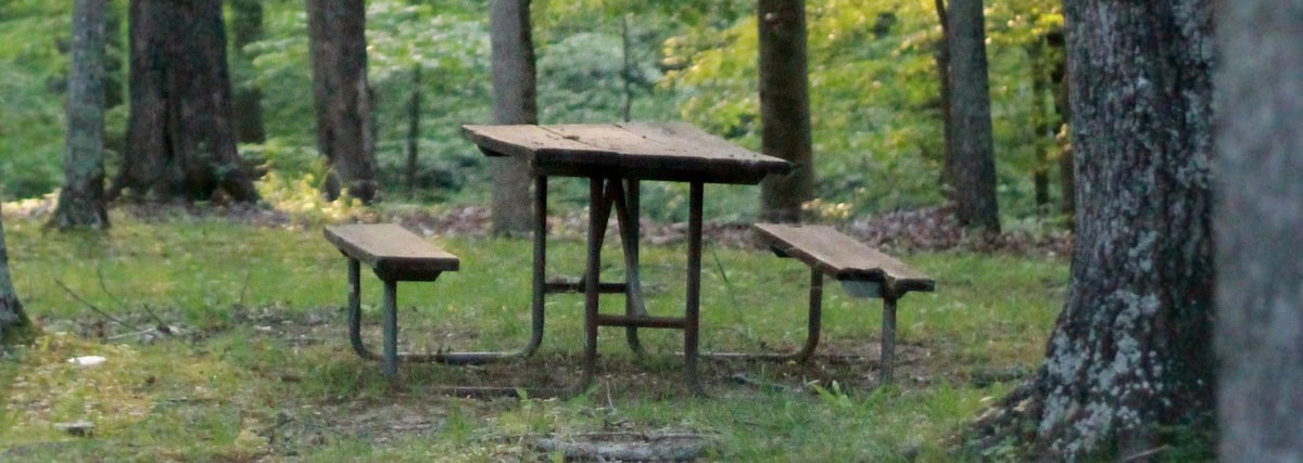 Outdoor-Kochen ohne Feuer: Alternative Kochmethoden beim Camping