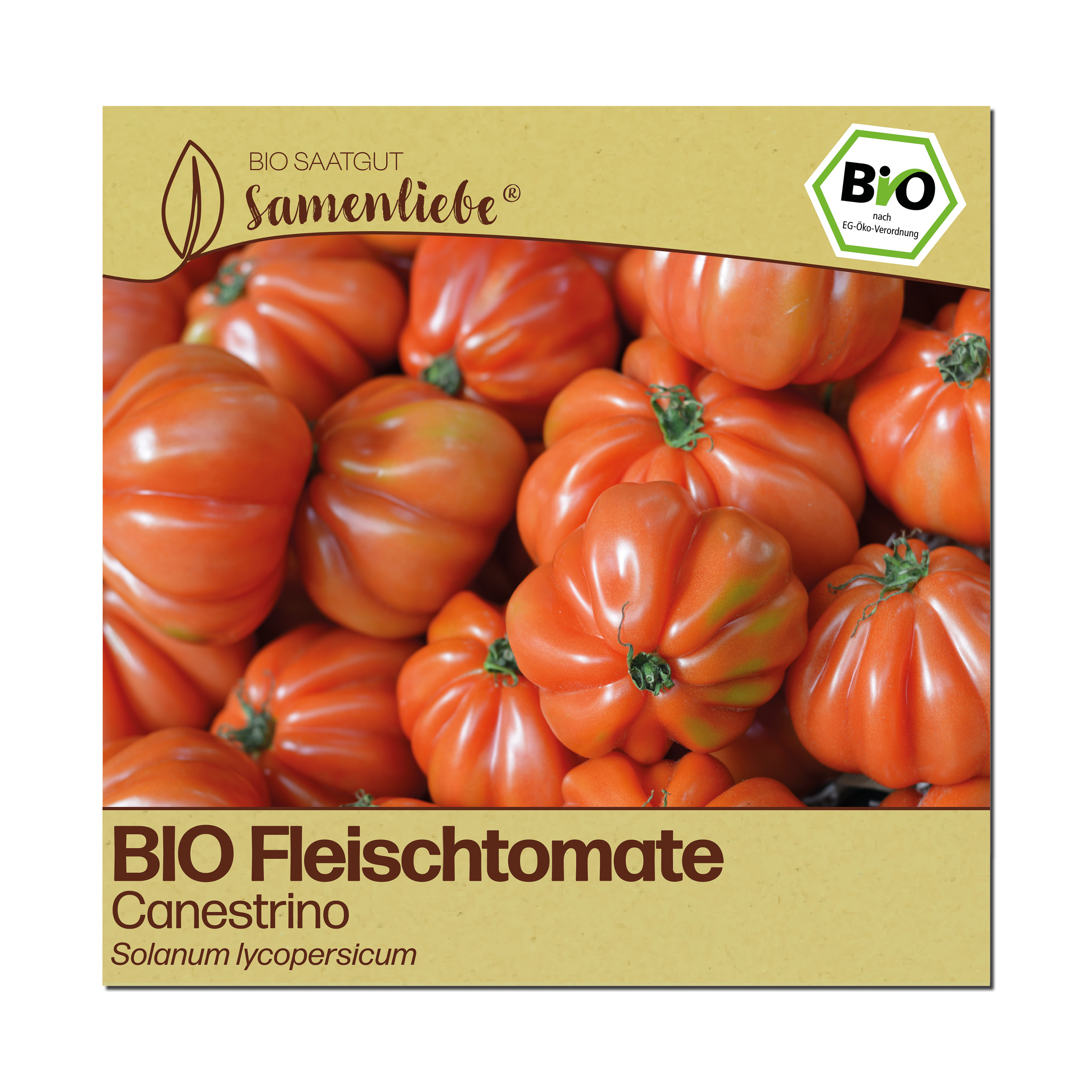 belana kartoffel saatgut Kartoffeln Belana festkochend main image 1