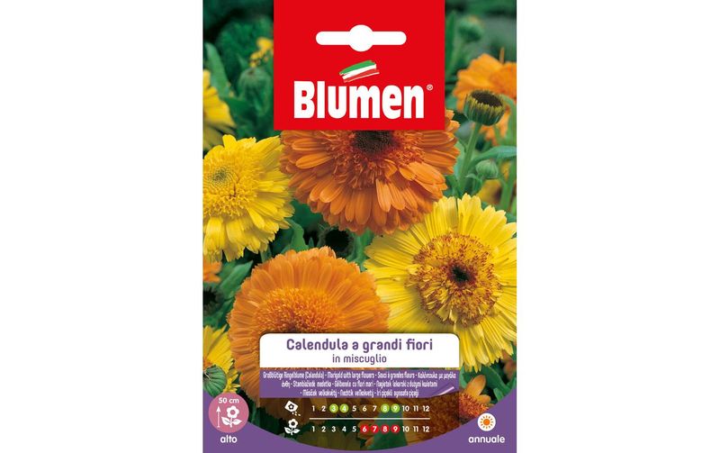 Blumen Saatgut Grossblütige Ringelblume Mix