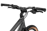 100954-0000-8002-stem.png